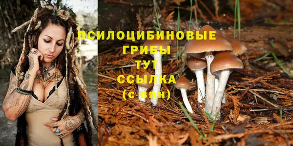 соль курить ск Кинешма
