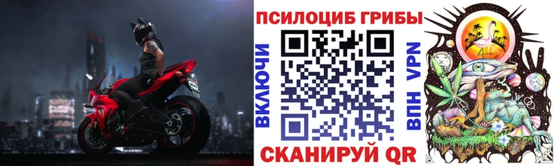 Псилоцибиновые грибы Psilocybine cubensis  хочу   kraken зеркало  Снежногорск 